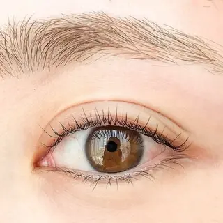 マツエク・マツパ PLUME　EYE　BEAUTY所属・PLUME 山本の眉毛・アイブロウイメージ