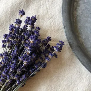 miina ♡のネイルデザイン