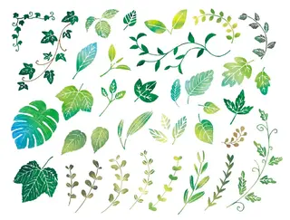 ハーブピーリング🌿 TO BE HERBのエステ・リラクイメージ