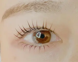 マツエク・マツパ Celeste Venus所属・🧸Celeste Venusのマツエク・マツパデザイン