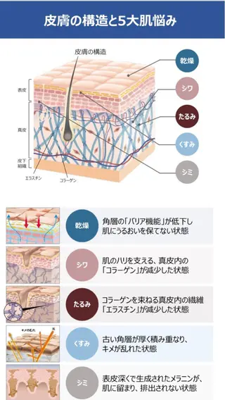 Ｂ&H所属・頭痛•肩こり専門/ 眉サロンB&H心斎橋のエステ・リラクイメージ