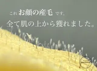 WAXYYY. 新宿西口店のエステ・リラクイメージ