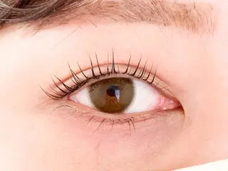 マツエク・マツパ トレヴァーデルチザン inuiのマツエク・マツパデザイン