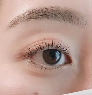 マツエク・マツパ 《eyelash ｉｉｔｅ》森のマツエク・マツパデザイン