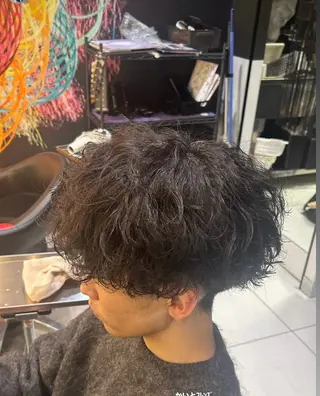 パーマ 田中 海斗のヘアスタイル