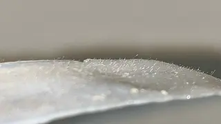 iti所属・iti 眉毛とワックス脱毛の眉毛・アイブロウイメージ