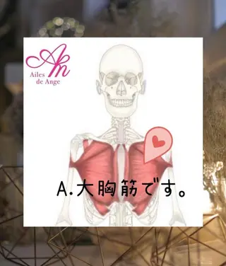 Ailes de Ange　MARIのエステ・リラクイメージ