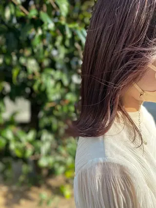 ミディアム TRUCK トラックのその他イメージ