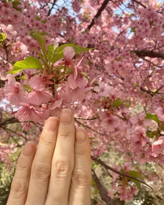 ネイル ハンドケア&ネイルケア桃の木所属・ケアリスト🍀 マリユキのネイルデザイン