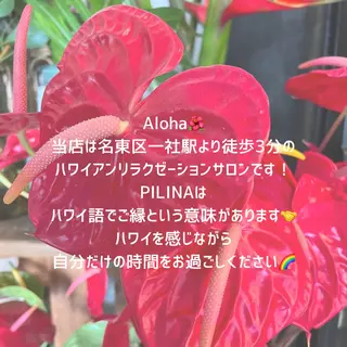 ハワイアンロミロミ ピリナ🌺のエステ・リラクイメージ