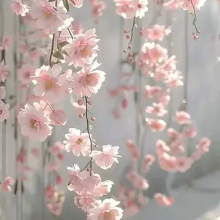 ネイル ゆ きのネイルデザイン