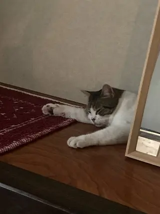 田川 しおりのエステ・リラクイメージ