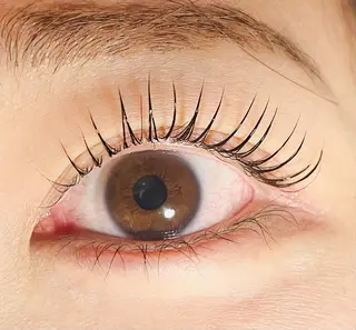 マツエク・マツパ 表参道/まつ毛パーマ 🌷🕊️SAORIのマツエク・マツパデザイン