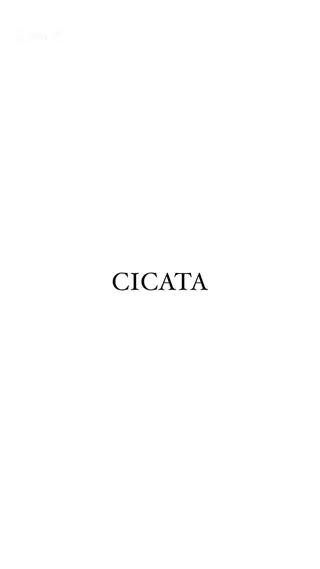 大人ショート/鎌倉/ 似合わせ/不動のヘアスタイル