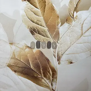 ネイル miwa .のネイルデザイン