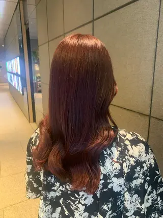 ロング カラー SALOWIN    銀座RAY 2所属・yamashika honokaのヘアスタイル