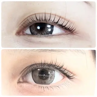 マツエク・マツパ 🎼グラデーション スタイル札幌♫*⁠✧のマツエク・マツパデザイン