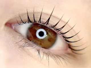 マツエク・マツパ most eyes 調布所属・🪼 mao🪼のマツエク・マツパデザイン