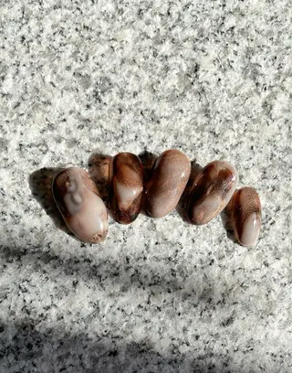 ネイル nail salon Farbe〜ファルべのネイルデザイン