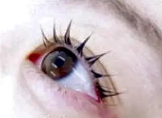 マツエク・マツパ BRISE erikaのエステ・リラクイメージ