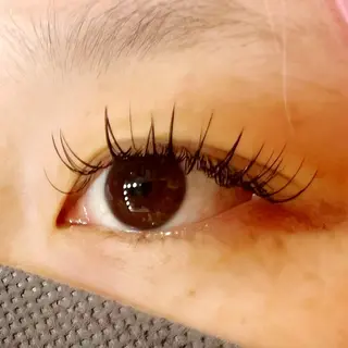 マツエク・マツパ Celeste Venus所属・🧸Celeste Venusのマツエク・マツパデザイン