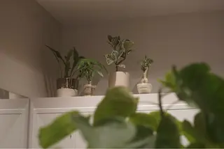 カラー 艶カラー/高円寺/ atsumi🦣🪽のヘアスタイル