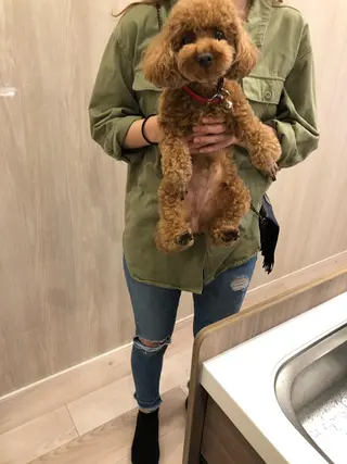 脱毛サロン RP（ルピ）のエステ・リラクイメージ