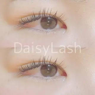 マツエク・マツパ DaisyLash 京橋店のマツエク・マツパデザイン