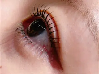 ãããšã¯ã»ããã ðð¢ð ð¡ð MAOð€ã®çæ¯ã»ã¢ã€ãããŠã€ã¡ãŒãž