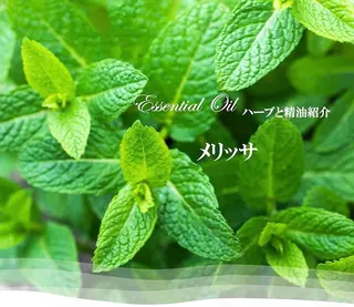 香りの家ローズマリー 🌿アロマリンパのエステ・リラクイメージ