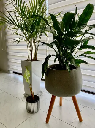 フェイシャルサロン ビアンカガーデンのエステ・リラクイメージ