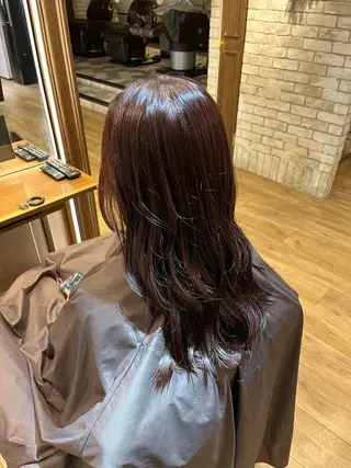 セミロング カラー PANOLA吉祥寺店所属・hana 🦖のヘアスタイル