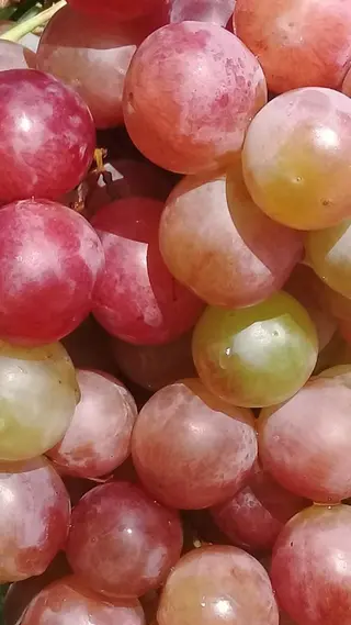 カラー yiye aoyama所属・表参道yiye うららのヘアスタイル