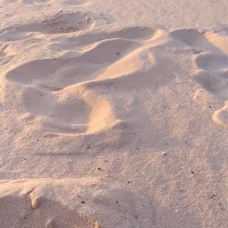 IwAsh  大和駅店所属・shiho .のヘアスタイル