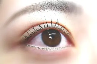 マツエク・マツパ angelux 所属・完全個室サロン🌹 angelux🌹のマツエク・マツパデザイン