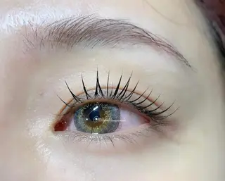 マツエク・マツパ fan.germe 副店長MIYABIのマツエク・マツパデザイン