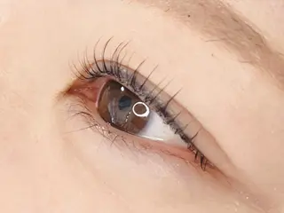 マツエク・マツパ 《eyelash ｉｉｔｅ》森のマツエク・マツパデザイン