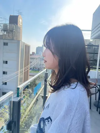 セミロング 園田 渉 ◤SHIKIO◢のヘアスタイル