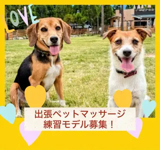 ハムスターのいる サロンのエステ・リラクイメージ