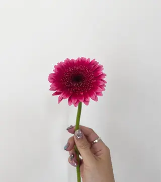 カラー 暖色カラー／ ヘアセット🌛櫻井舞のヘアスタイル