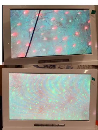 ニキビ、痩身、脱毛、 サクラチャンスパのエステ・リラクイメージ