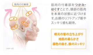 Amel hairのヘアスタイル