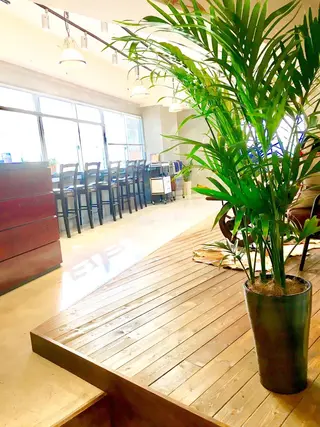 lasPAVILION-ラスパビリオン-所属・las PAVILIONのヘアスタイル