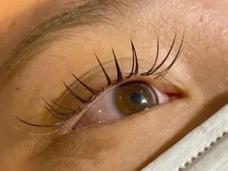 マツエク・マツパ Ai Quick 北千住🌿saitoの眉毛・アイブロウイメージ