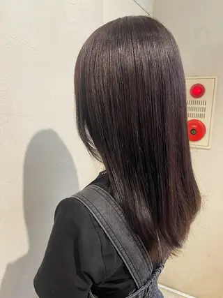 セミロング 🩶 AIRA / 透明感カラー 🩶のヘアスタイル