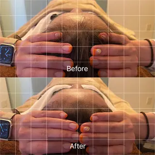 整顔整頭所属・整顔整頭 ｾｲｶﾞﾝｾｲﾄｳのエステ・リラクイメージ