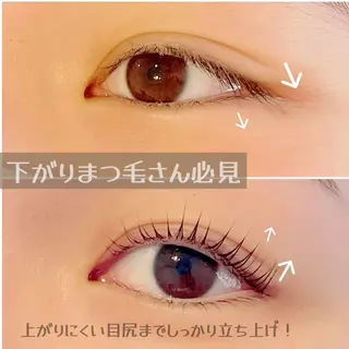 マツエク・マツパ Elaphia所属・プライベートサロン Elaphiaの眉毛・アイブロウイメージ