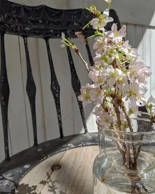 セミロング ヘアアレンジ カラー 南堀江 möwen ( メーヴェ )所属・mowen RUIのヘアスタイル