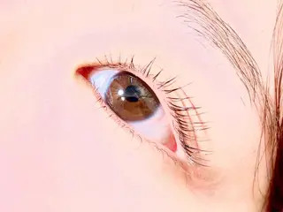 パーマ マツエク・マツパ yamamoto 🥀のマツエク・マツパデザイン