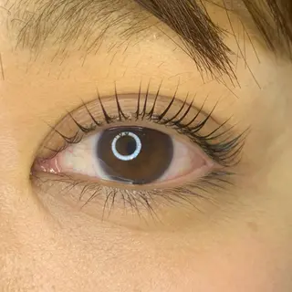 マツエク・マツパ Celeste Venus所属・🧸Celeste Venusのマツエク・マツパデザイン